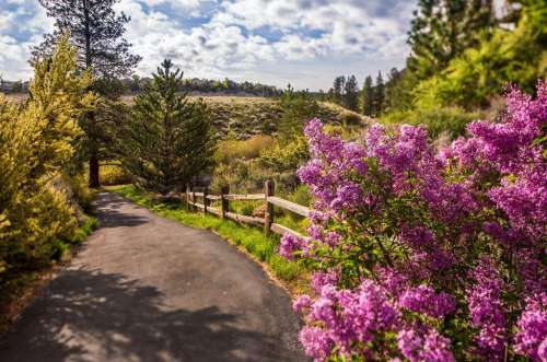 Caughlin Ranch